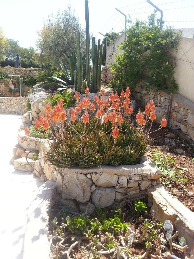 Villa Ca Del Mar Morciano di Leuca Eksteriør billede