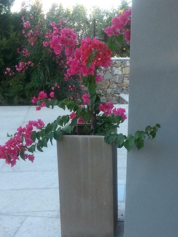 Villa Ca Del Mar Morciano di Leuca Eksteriør billede