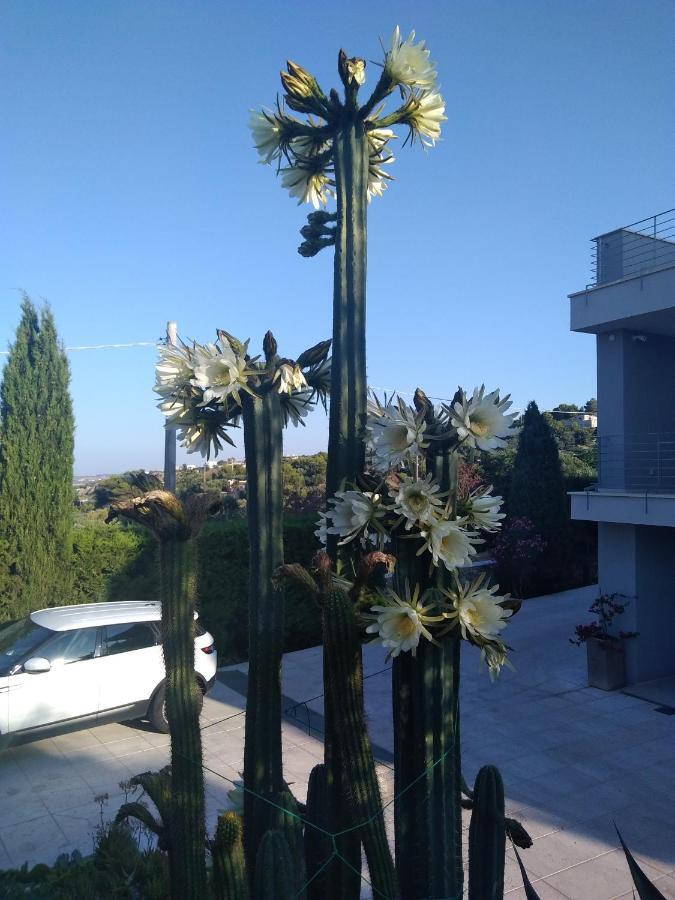 Villa Ca Del Mar Morciano di Leuca Eksteriør billede